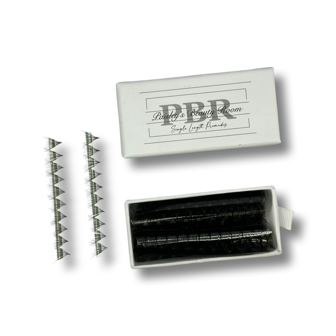 PBR 8D 0.05 1000 fans mega volume promade lash trays