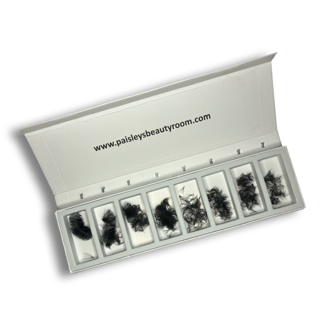PBR 8D 0.05 1000 loose fans mega volume promade lash trays