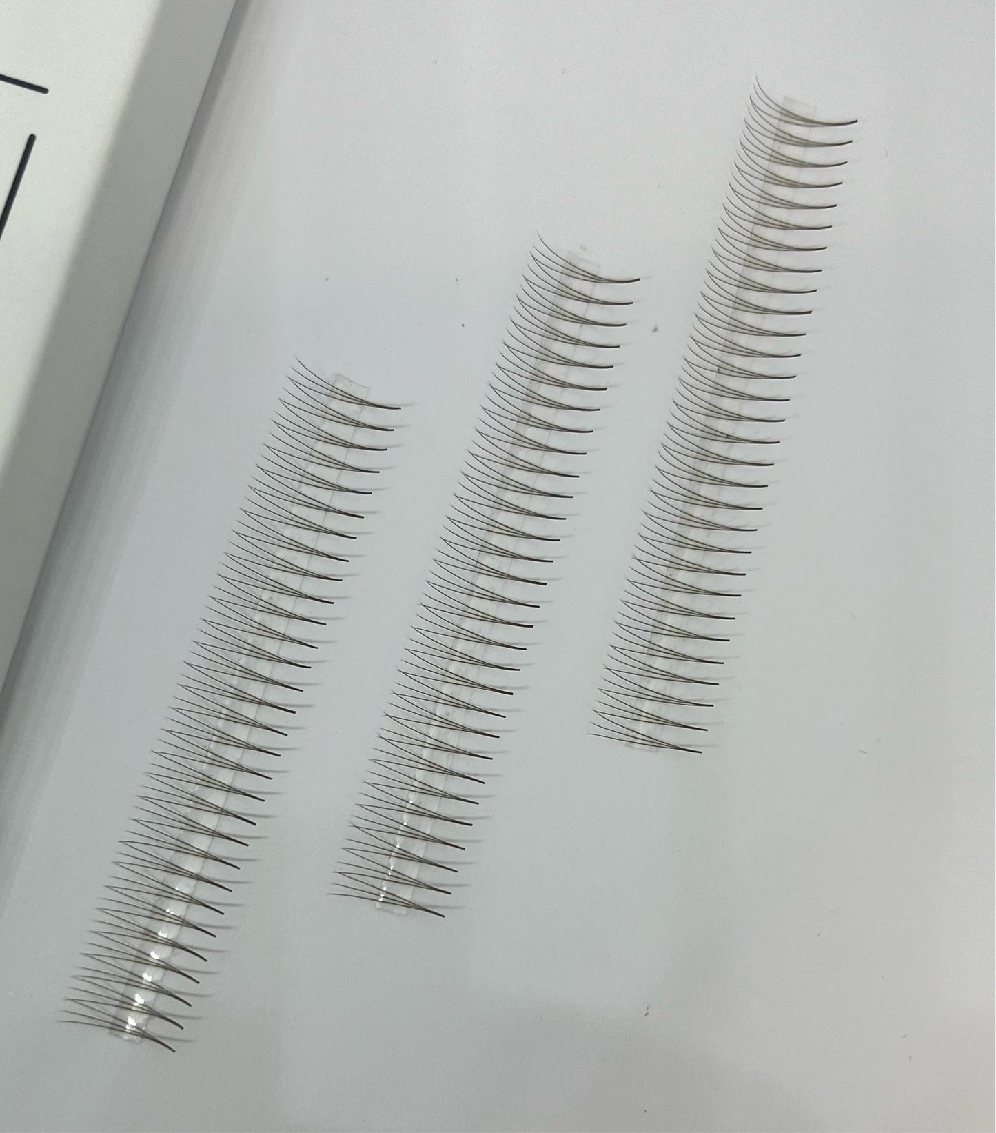 PBR 0.07 NARROW BROWN 3D 1000 fans mega volume promade lash trays