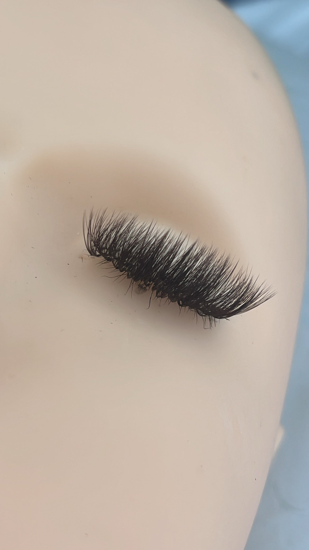 Brown regular fanning lashes - Paisleys Beauty Room