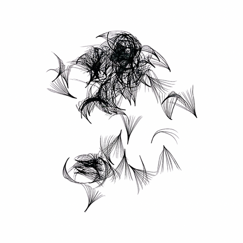 Narrow promade fans - loose - Paisleys Beauty Room