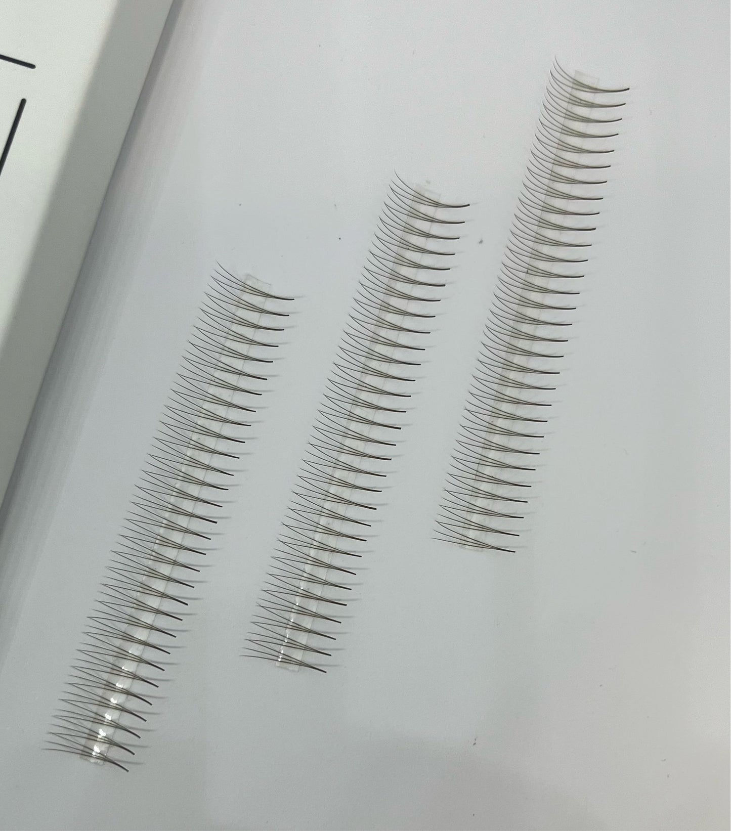 PBR 0.07 BROWN 3D 1000 on strip fans mega volume promade lash trays
